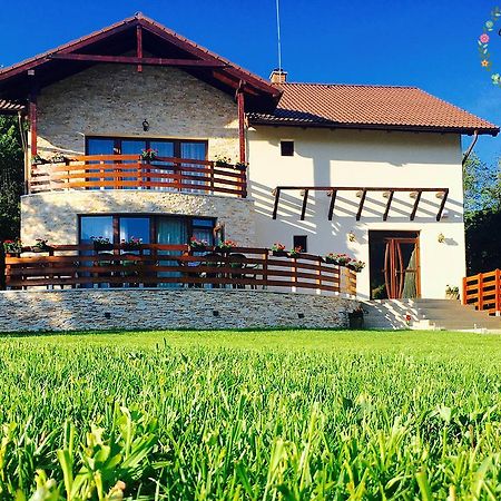 Pensiunea Casa Florela Capusu Mic Buitenkant foto