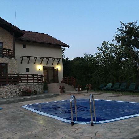 Pensiunea Casa Florela Capusu Mic Buitenkant foto