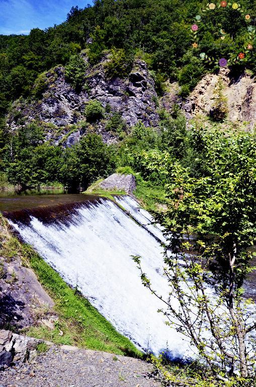 Pensiunea Casa Florela Capusu Mic Buitenkant foto