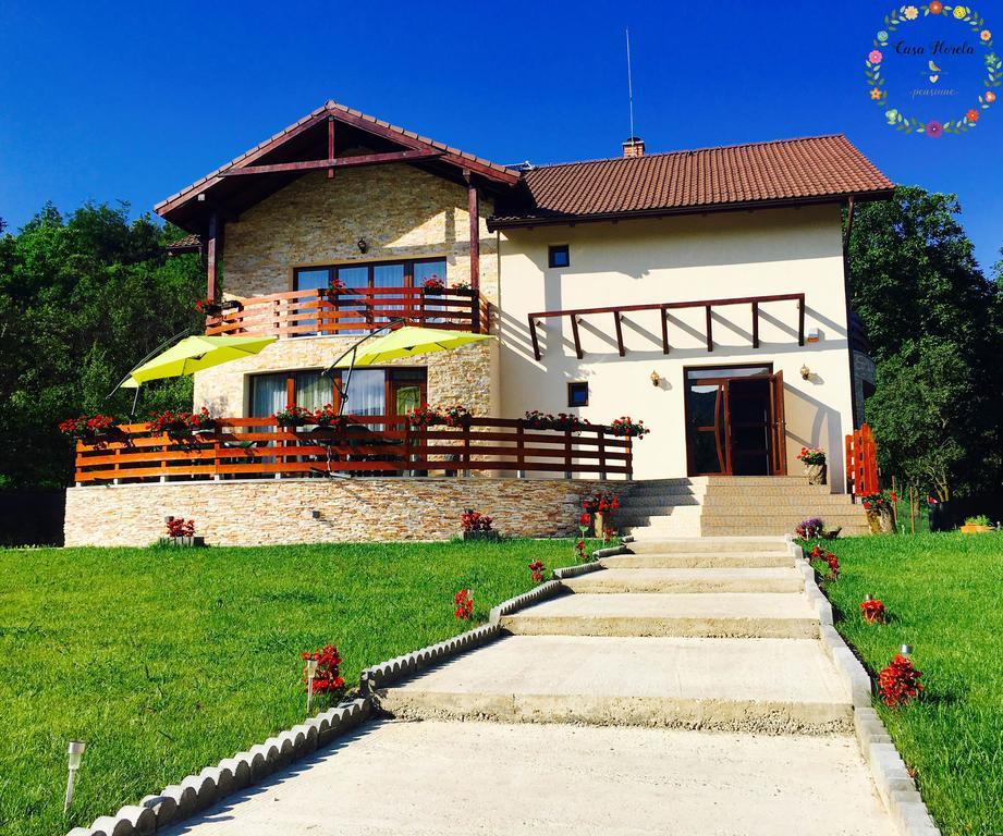Pensiunea Casa Florela Capusu Mic Buitenkant foto
